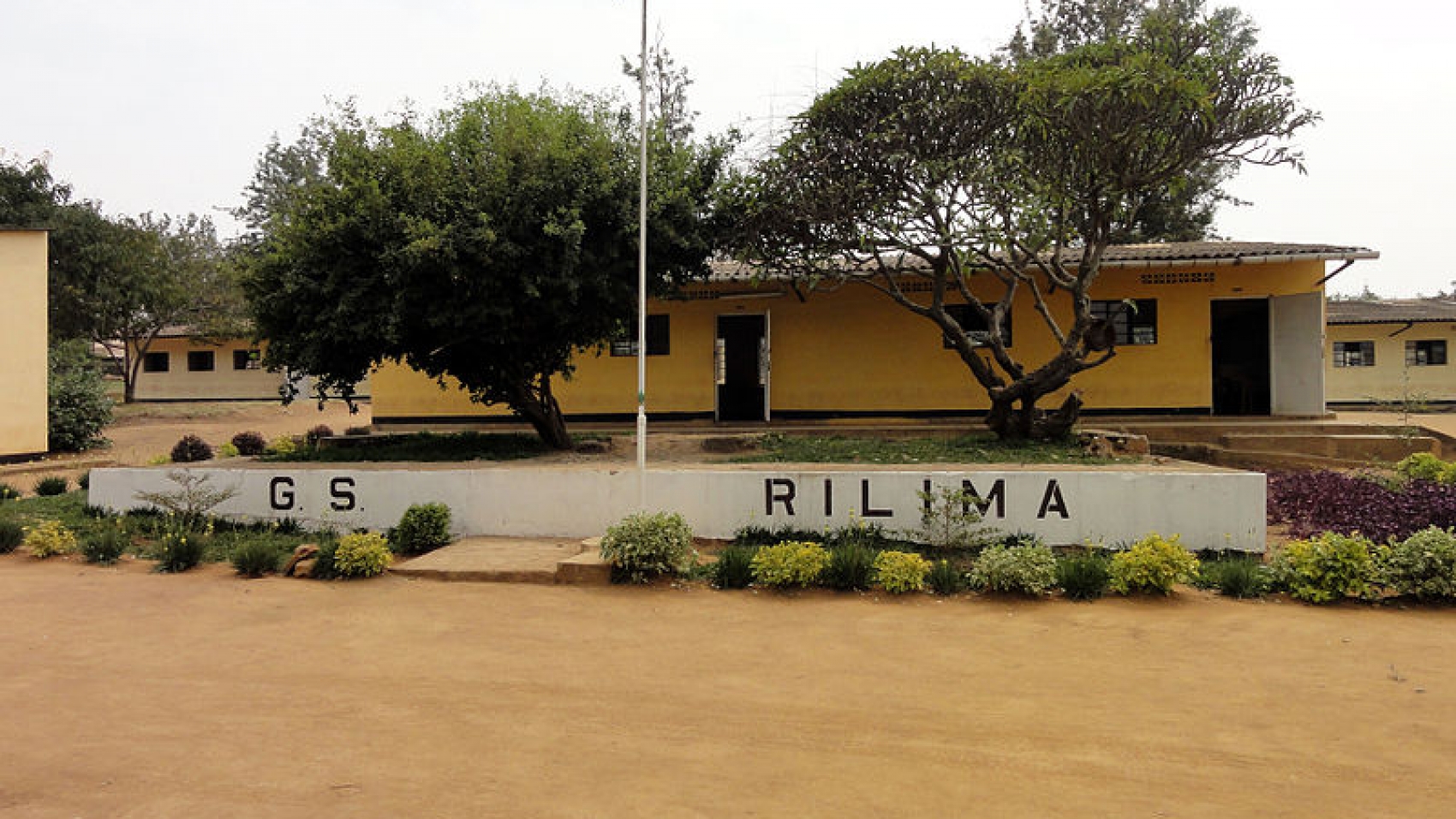 rilima_rwanda